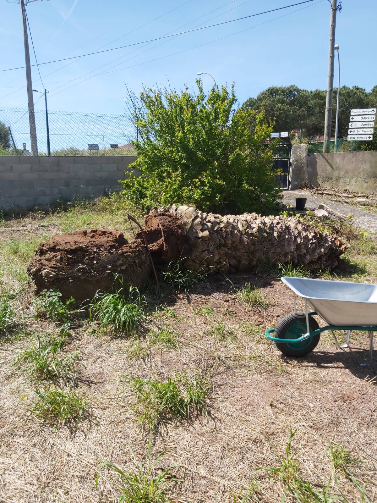 João Moreira - Odivelas - Lawn Mowing and Trimming