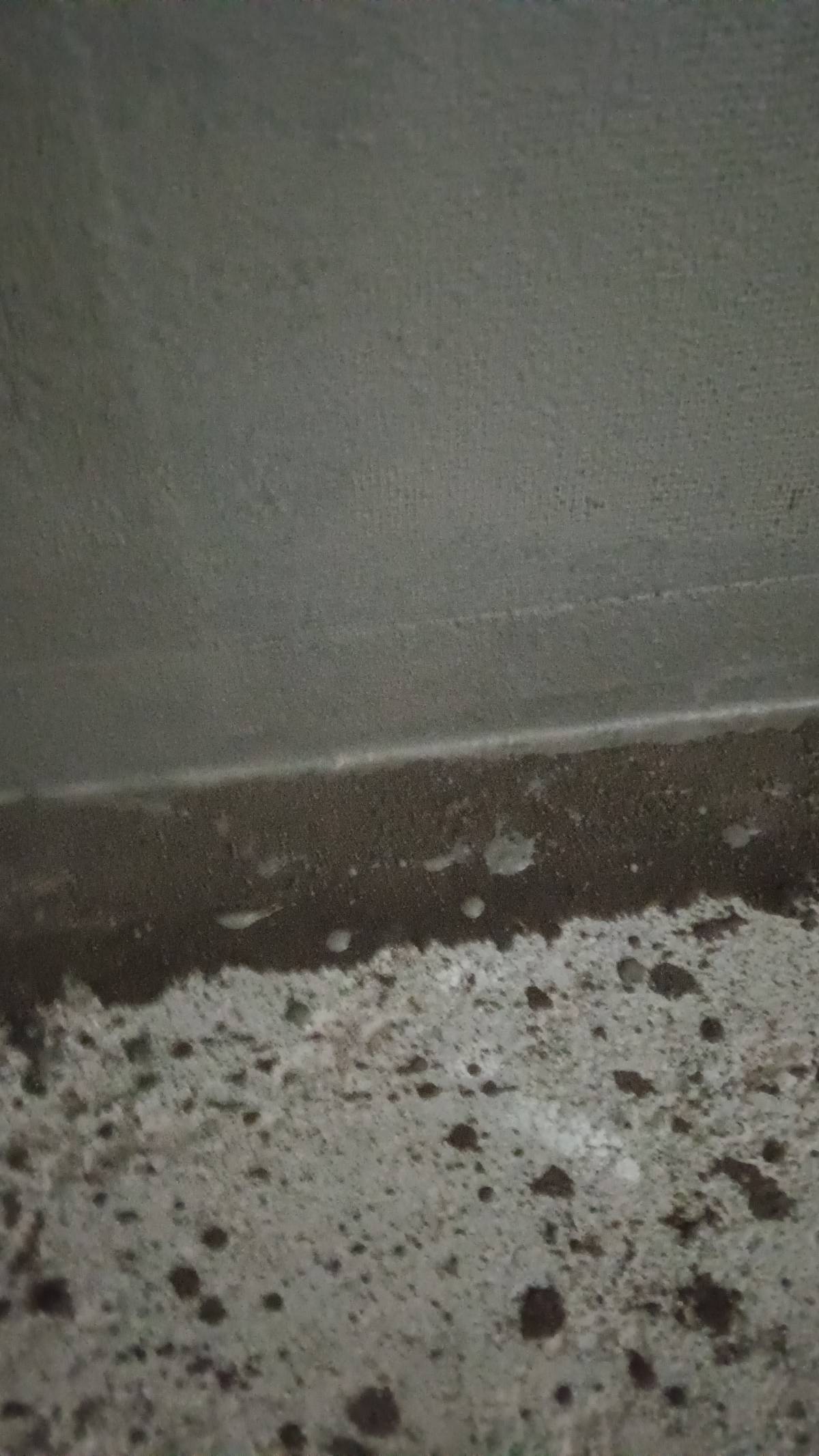 Inacio - Caldas da Rainha - Concrete Installation