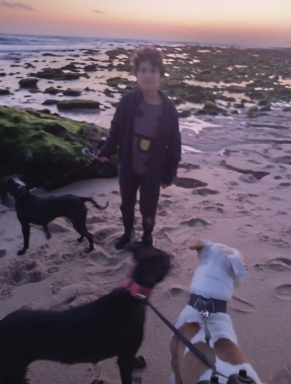 Happy Paws Care - Mafra - Mafra - Italienisch Übersetzung