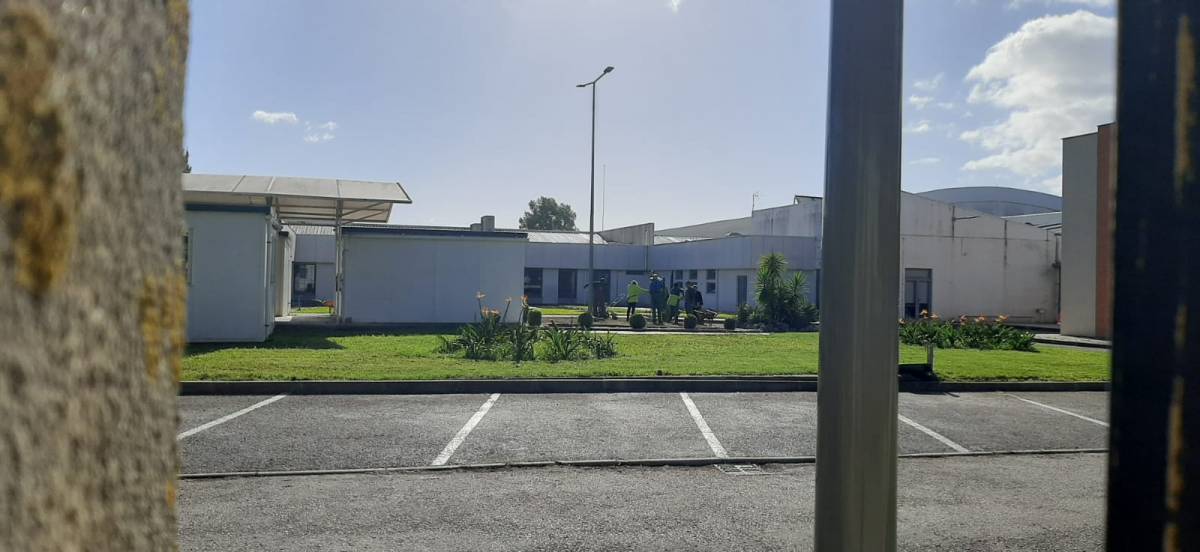 Técnico de Jardinagem e espaços verdes - Vila Franca de Xira - Weeding