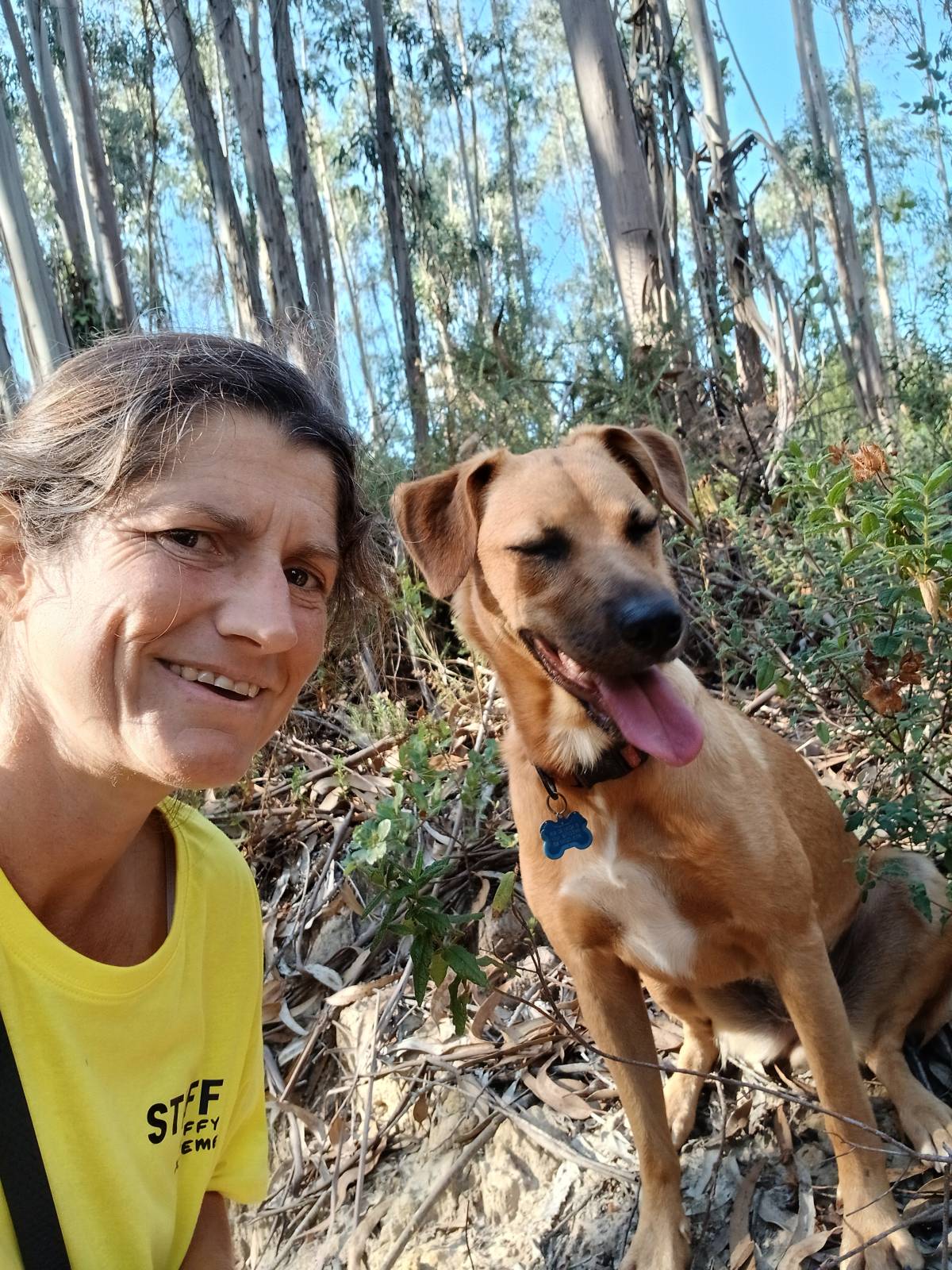 @silvercoastcanine - Óbidos - Dog Walking