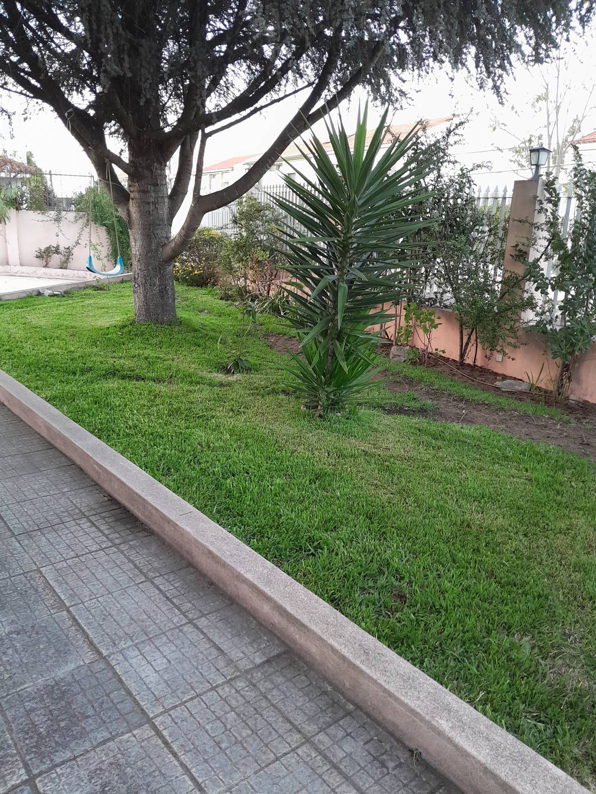 Técnico de Jardinagem e espaços verdes - Vila Franca de Xira - Lawn Mowing and Trimming