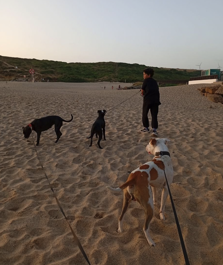Happy Paws Care - Mafra - Mafra - Französisch Übersetzung