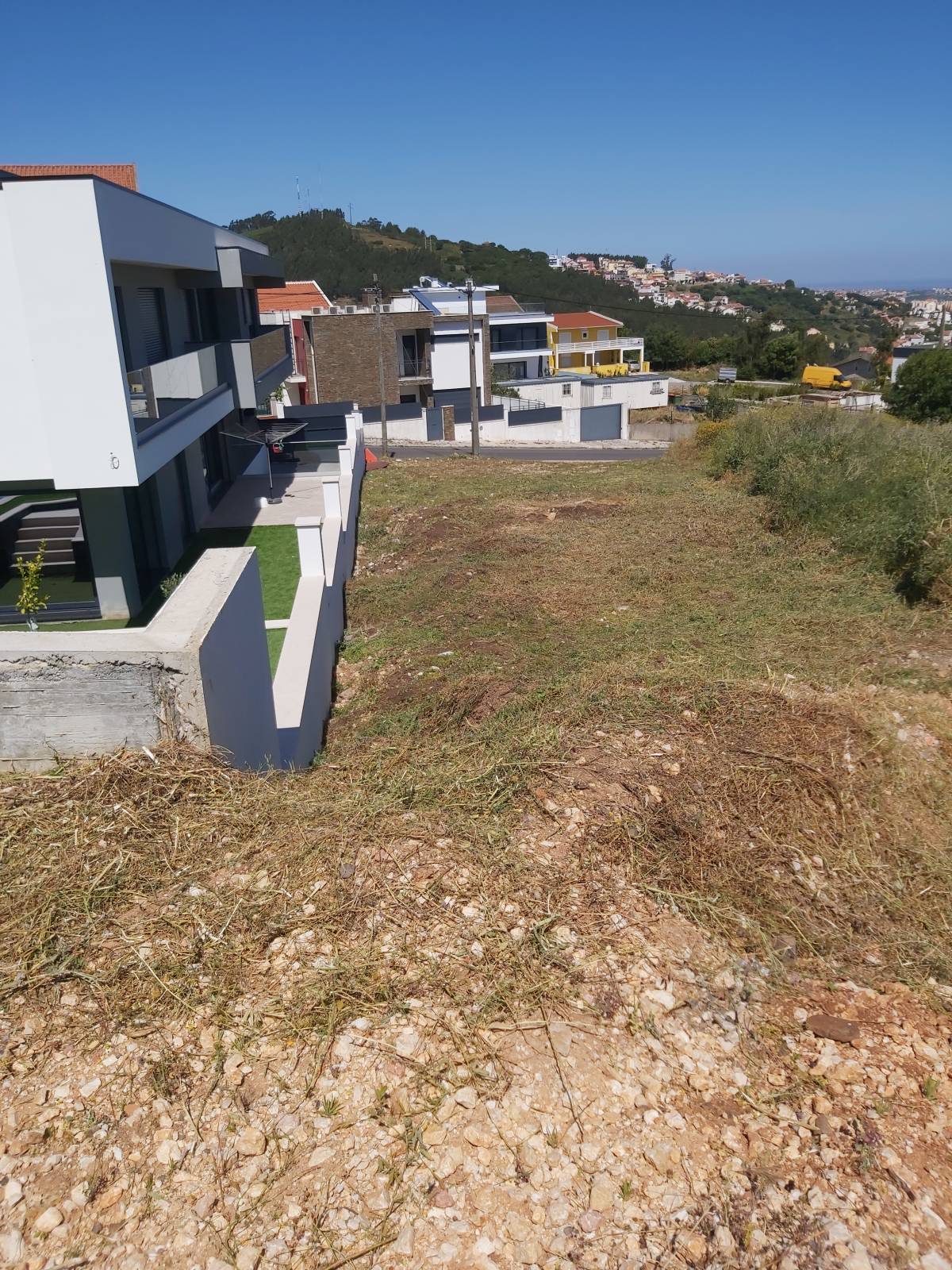 João Moreira - Odivelas - Shrub Removal