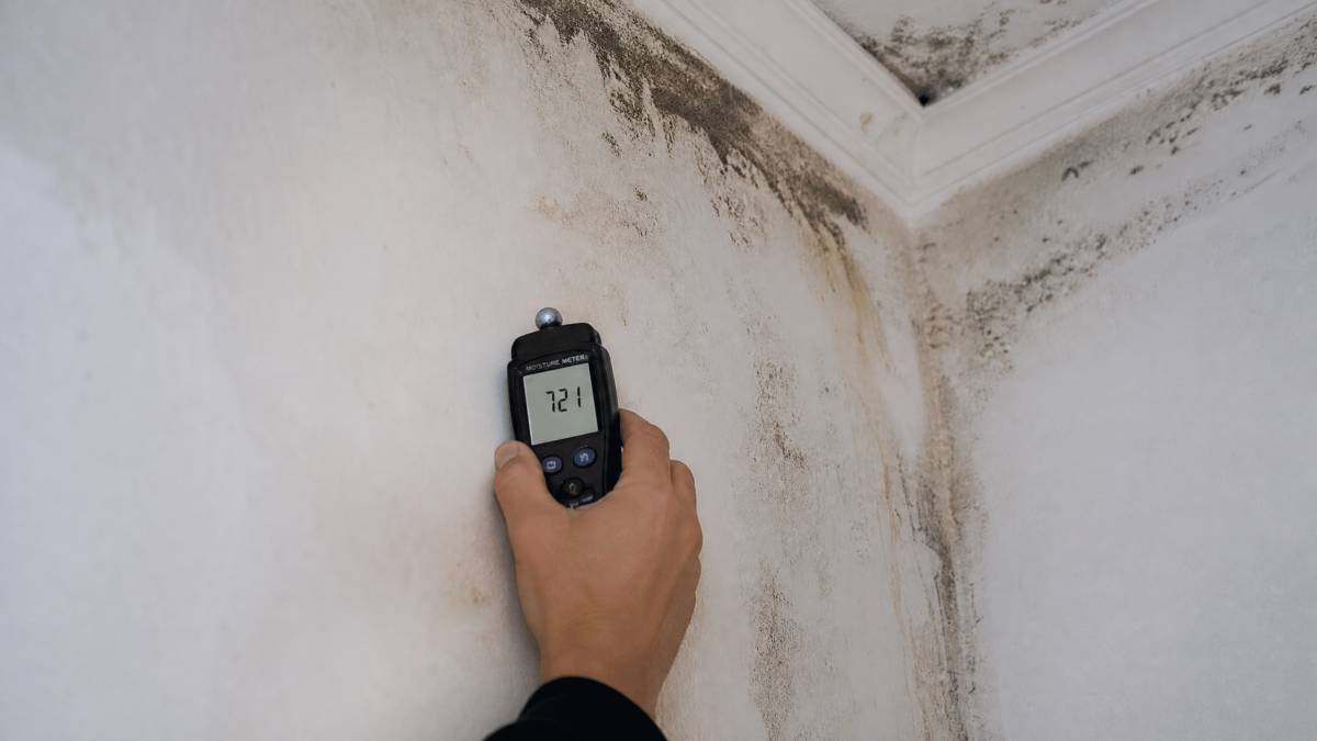 Comprador Protegido — Home Inspection Portugal - Lisboa - Remoção de Amianto
