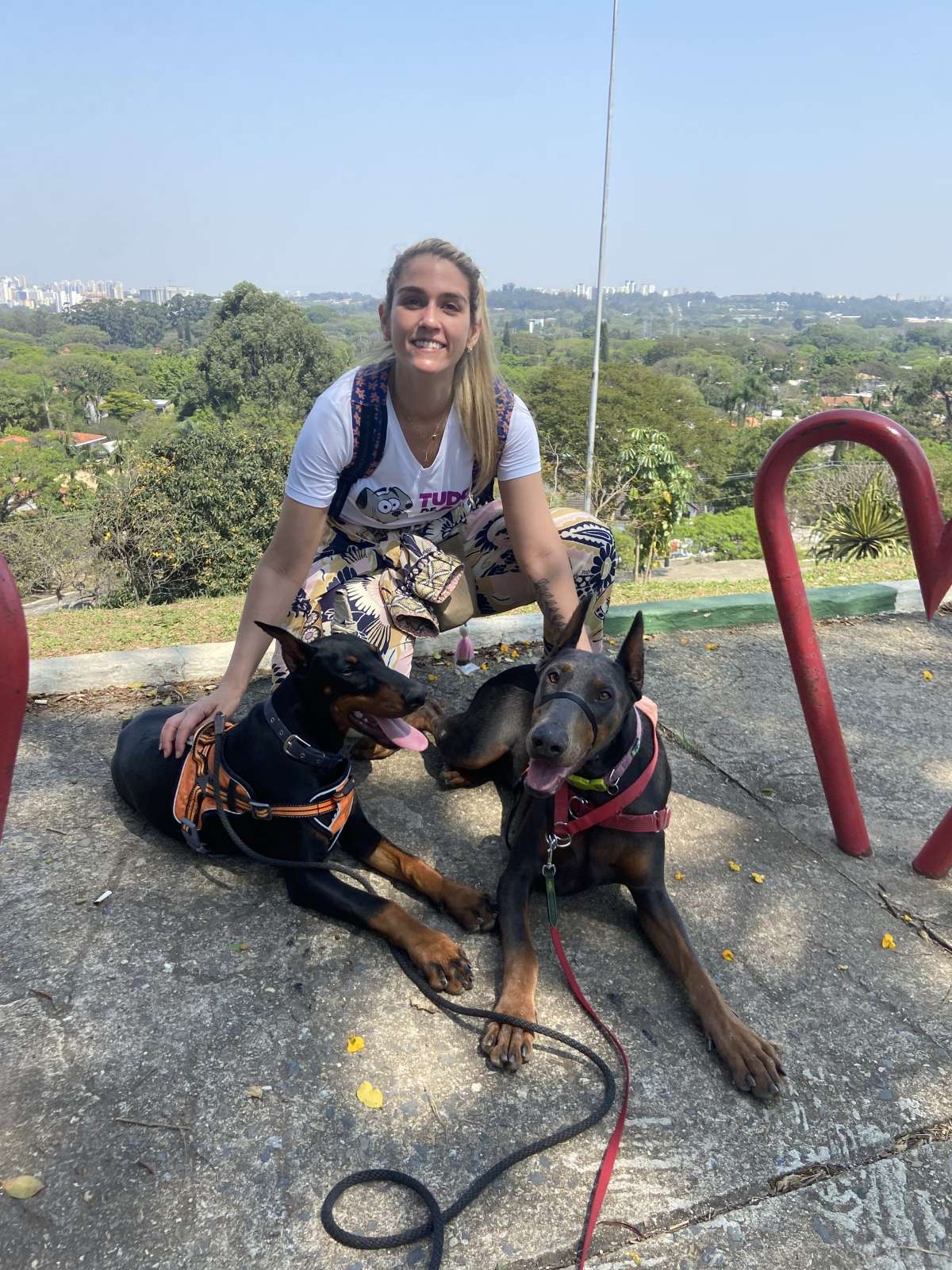 Luisa @vidacomoscachorros - Lisboa - Treino de Cães - Aulas