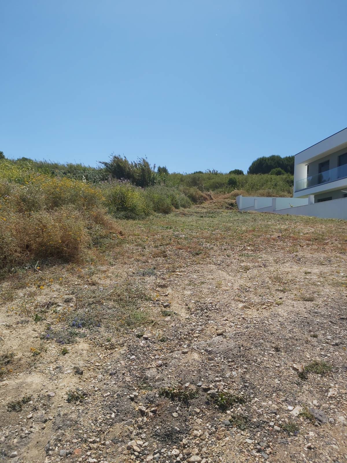 João Moreira - Odivelas - Tree Stump Grinding and Removal