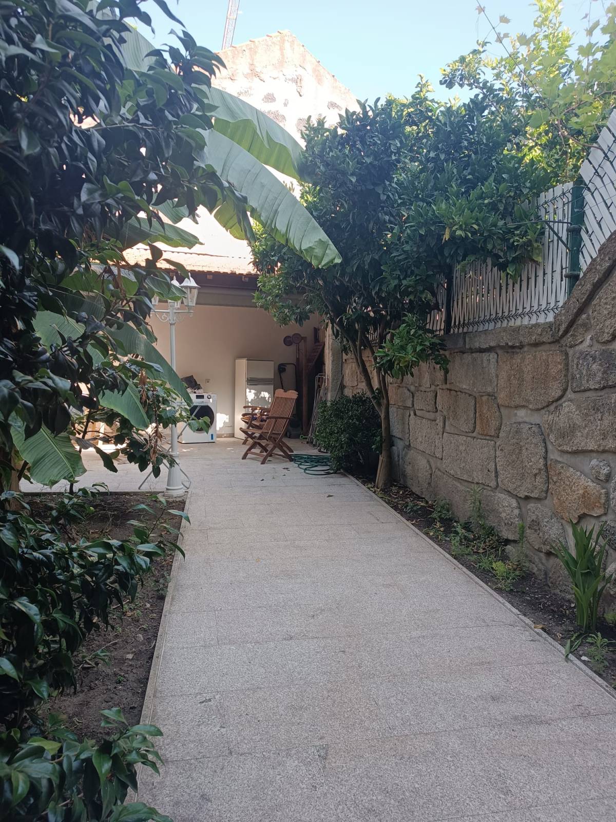 Patricia Alcantara de Paula - Porto - Garderie pour chiens