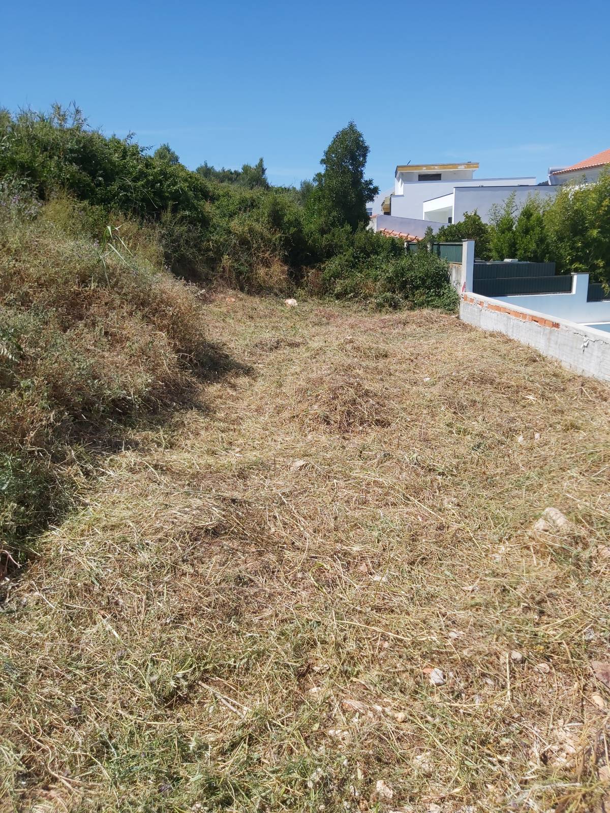 João Moreira - Odivelas - Tree Trimming and Maintenance