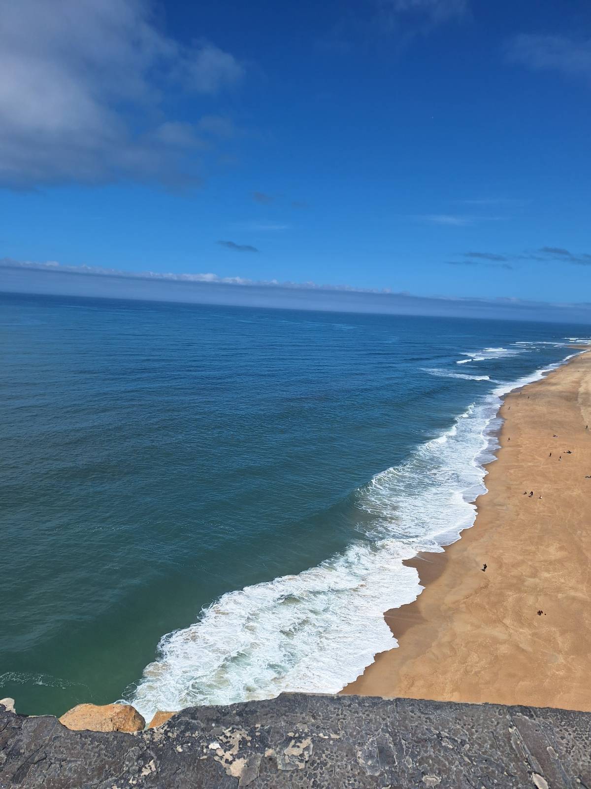 Leonor - Vila do Conde - Dog Walking
