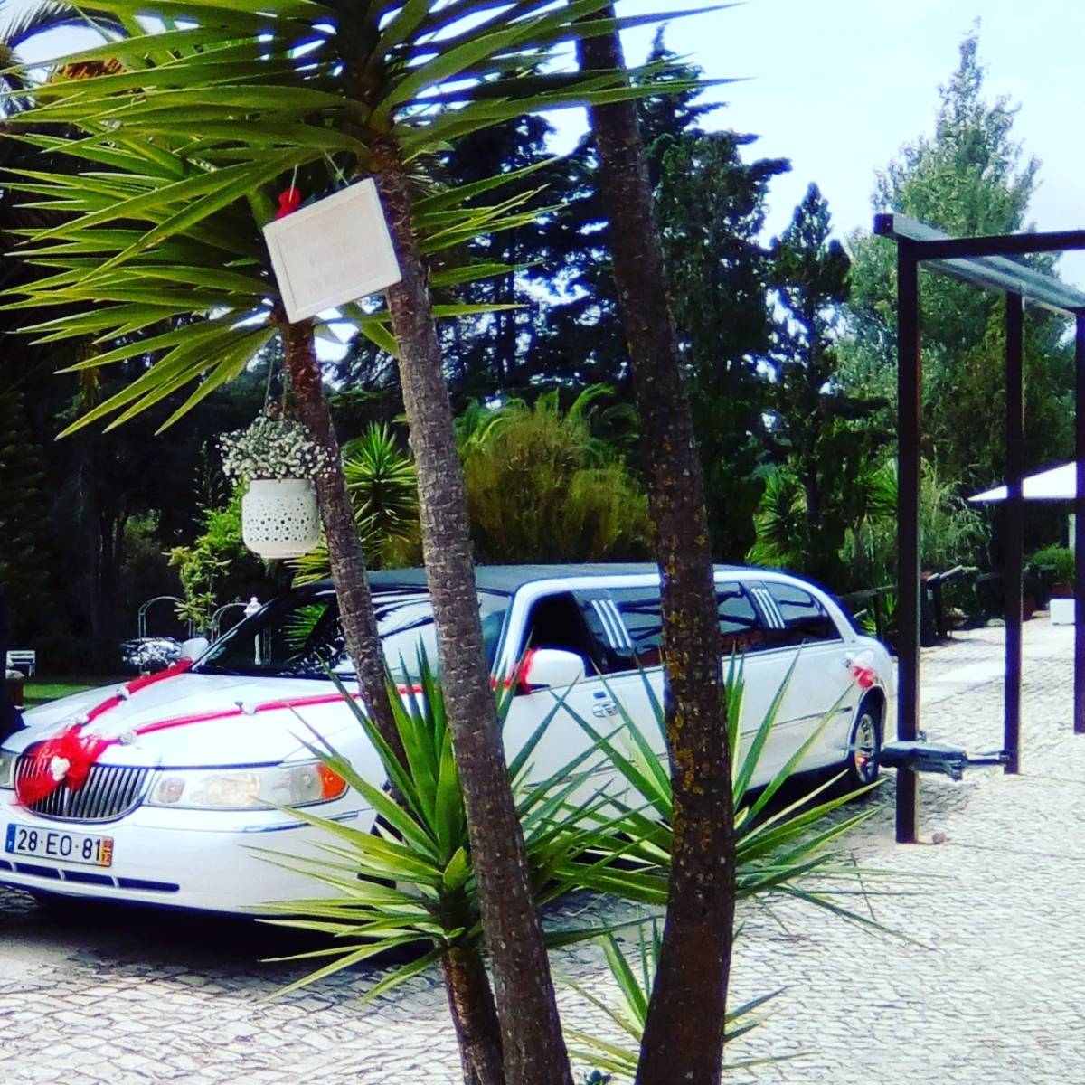 Angelo Santos - Seixal - Limousine Rental