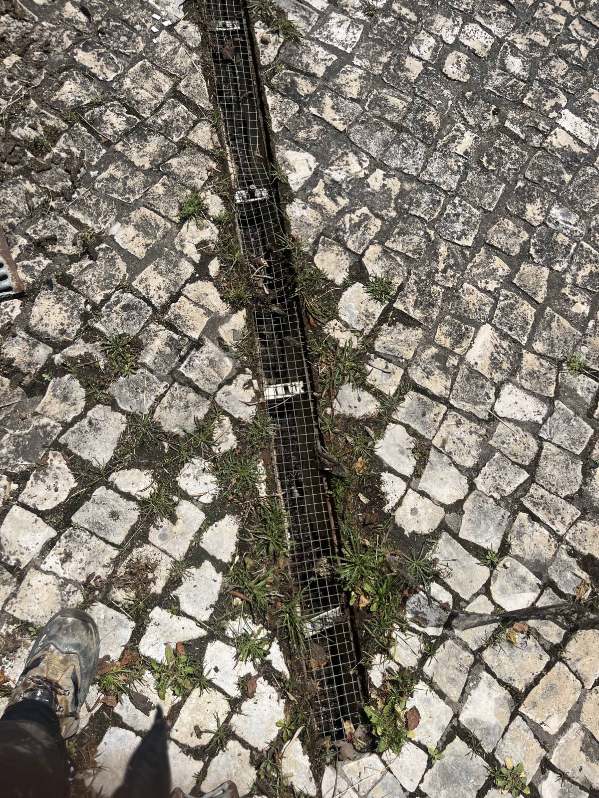 ChamaoJoão - Lisboa - Réparation ou entretien de fosse septique
