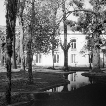 Margarida Teixeira de Sousa - Lisboa - Fotografia de Bebés