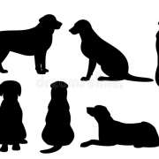 Márcia Tomé - Seixal - Dog Hotel