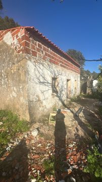 Especialista de Limpeza de Terrenos