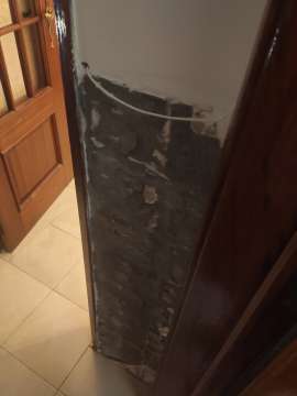 Plaster Specialist
