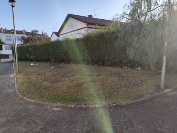 Serviço de Jardinagem