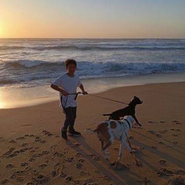 Happy Paws Care - Mafra - Mafra - Außenanstrich