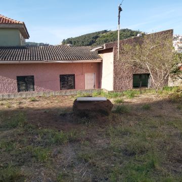 João Moreira - Odivelas - Gardening
