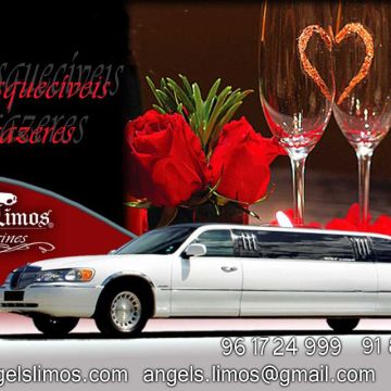 Angelo Santos - Seixal - Limousine Rental