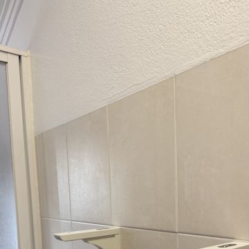 Edson Giannaccini - Cascais - Grundstücksreinigung