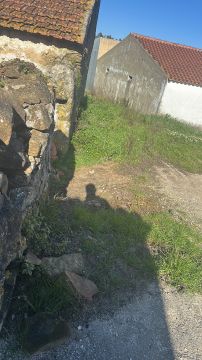 Especialista de Limpeza de Terrenos - Casa