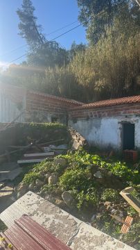 Limpeza de Terrenos