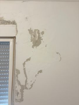 Especialista en revestimientos de pared - Hogar