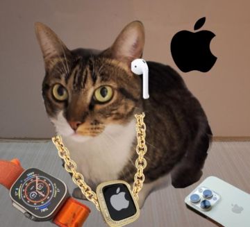 Katzenpfleger