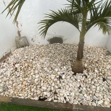 Andre - Silves - Reparação de Janelas