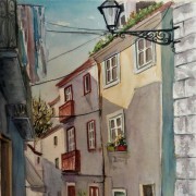 JMFerreira.arte - Torres Vedras - Cat Sitting