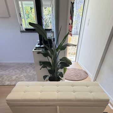 Edson Giannaccini - Cascais - Fensterreinigung