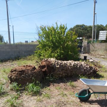 João Moreira - Odivelas - Lawn Mowing and Trimming