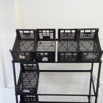 Serralheria Rubi - Almada - Katzenklappe einbauen