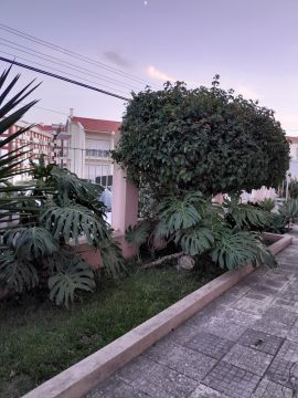 Técnico de Jardinagem e espaços verdes - Vila Franca de Xira - Gardening
