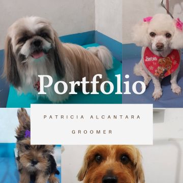 Patricia Alcantara de Paula - Porto - Hotel para Gatos