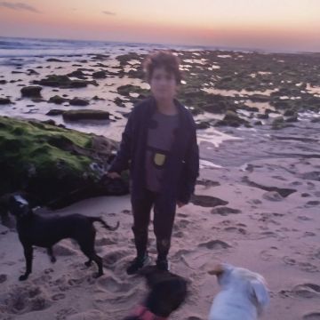Happy Paws Care - Mafra - Mafra - Italienisch Übersetzung