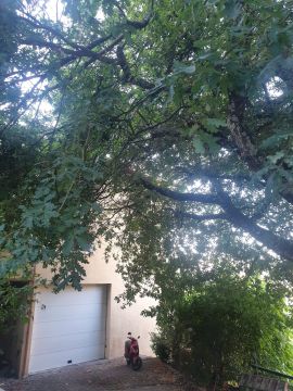 Jardinagem e Relvados