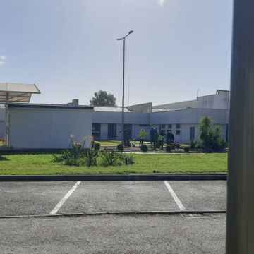 Técnico de Jardinagem e espaços verdes - Vila Franca de Xira - Weeding