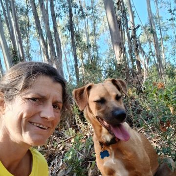 @silvercoastcanine - Óbidos - Dog Walking
