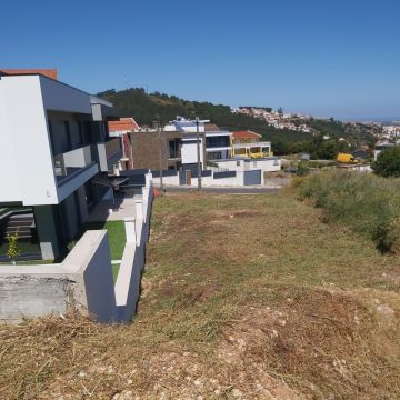 João Moreira - Odivelas - Shrub Removal