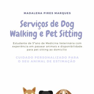 Madalena Pires Marques - Loures - Dog Walking