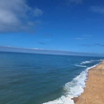 Leonor - Vila do Conde - Dog Walking