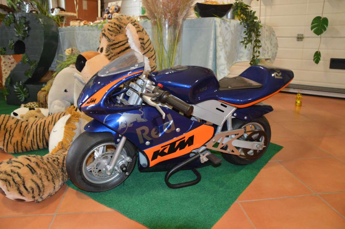 Catarina Guedes - Vila Nova de Gaia - Party Equipment Rentals