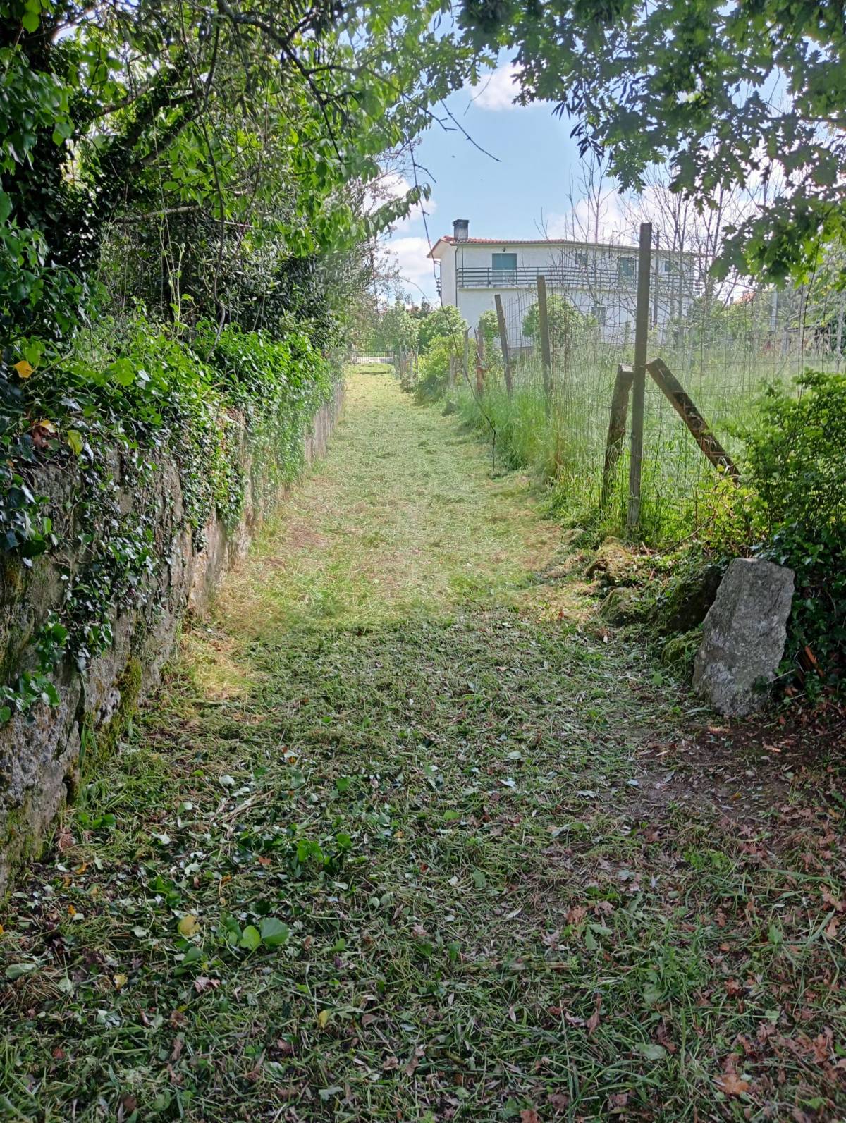 Alexandre Carvalho - Limpeza de Terrenos - Viseu - Remoção de Arbustos