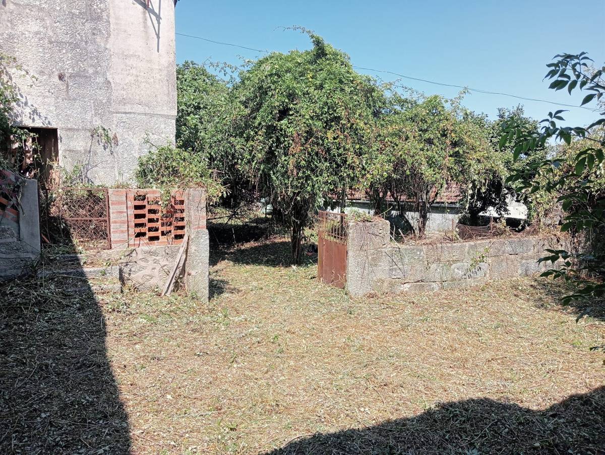 Alexandre Carvalho - Limpeza de Terrenos - Viseu - Poda e Manutenção de Árvores