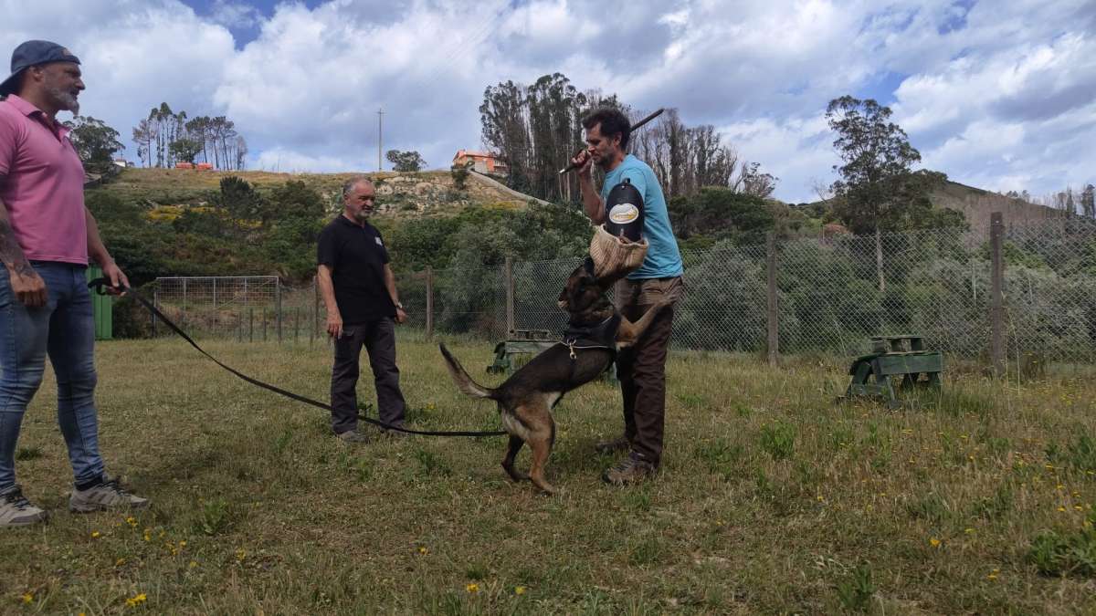 Bruno Rodrigues - Lisboa - Creche para Cães