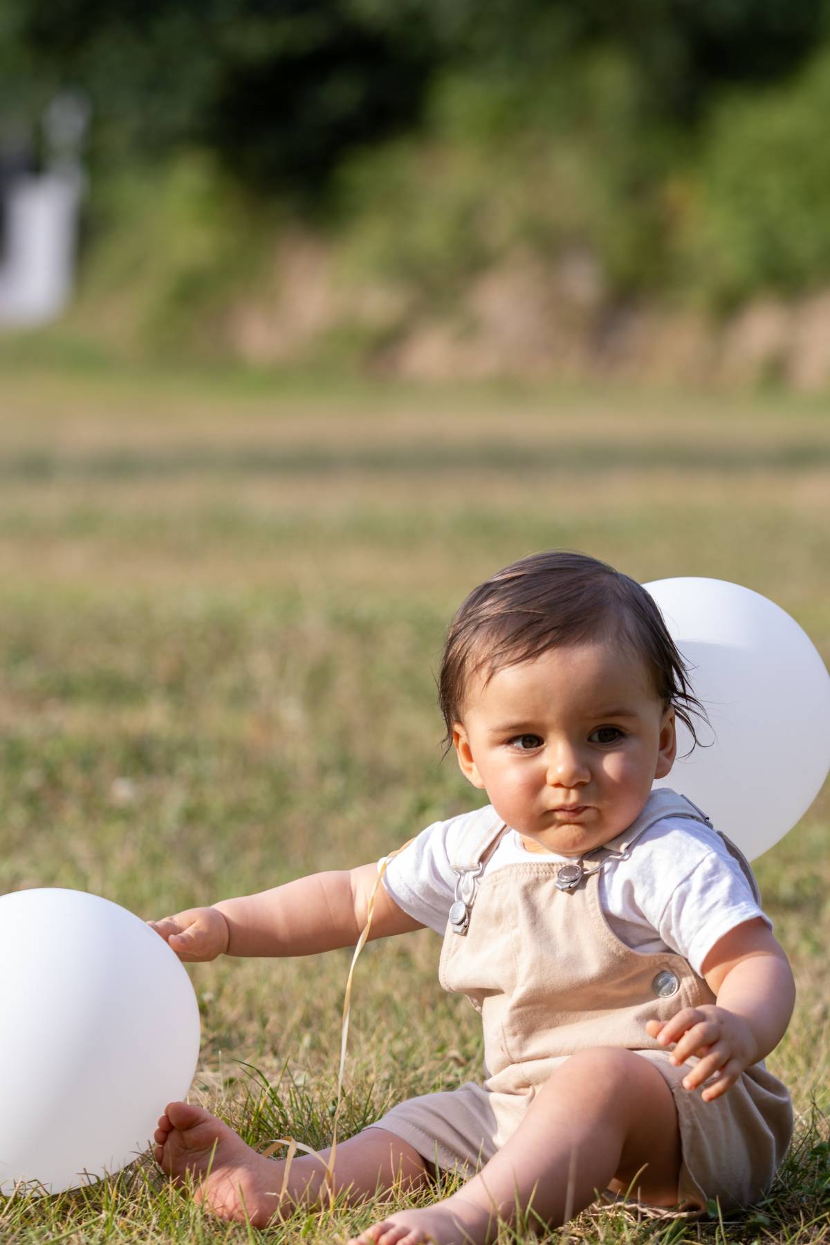 Ivo Soares Fotografia - Santo Tirso - Fotografía de mascotas