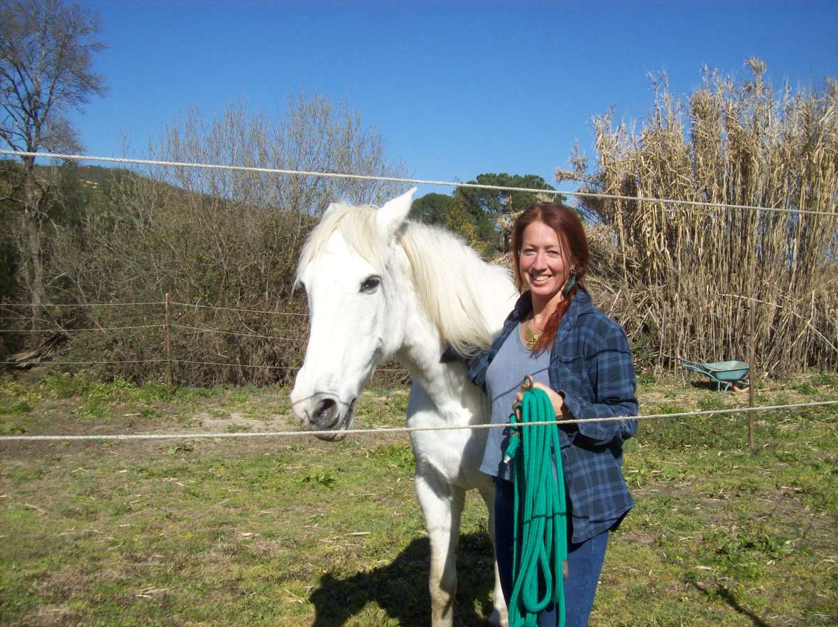 Conny Kadia - Coaching/ Equicoaching Oliveira do Hospital - Oliveira do Hospital - Coaching