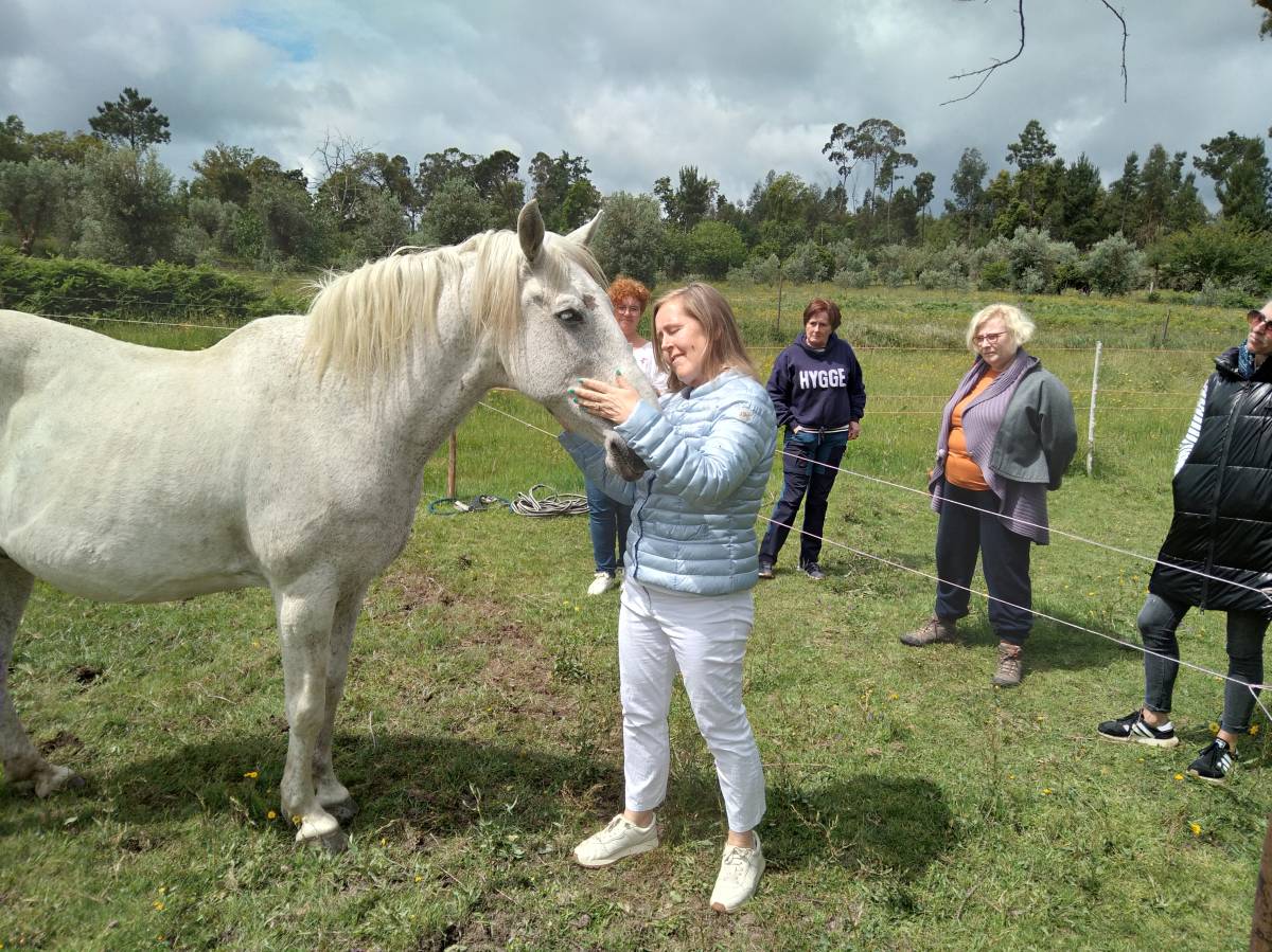 Equicoaching Conny Kadia MCT Mondequus Portugal - Oliveira do Hospital - Coaching de Bem-estar